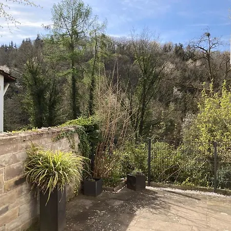 Grosszuegiges Mit Terrasse Am Rheinsteig Homestay *