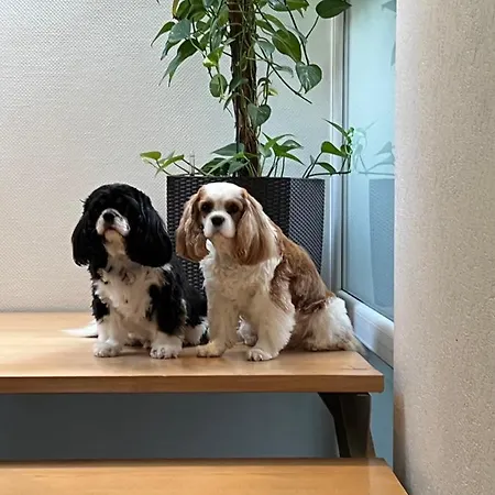 Alloggio in famiglia Grosszuegiges Mit Terrasse Am Rheinsteig Linz am Rhein