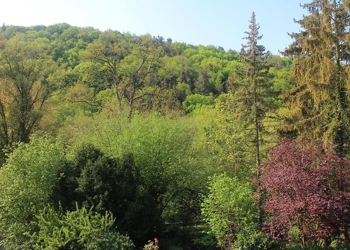 民宿 Grosszuegiges Mit Terrasse Am Rheinsteig